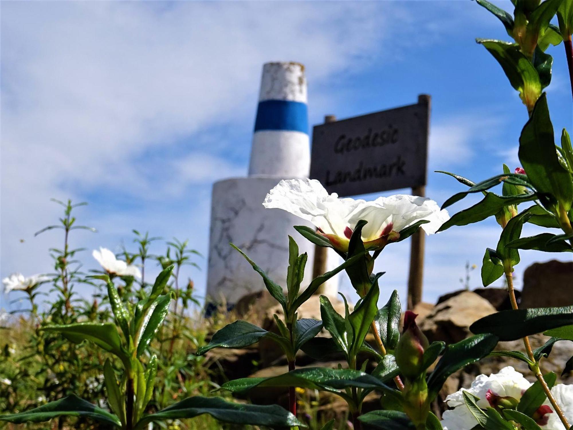 منزل الضيف Alcaria   في Monte Do Alento - Castro Da Cola المظهر الخارجي الصورة
